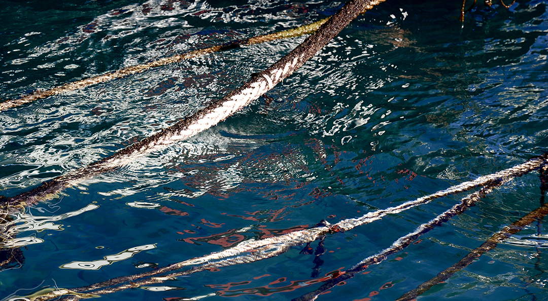 Css Template Preview