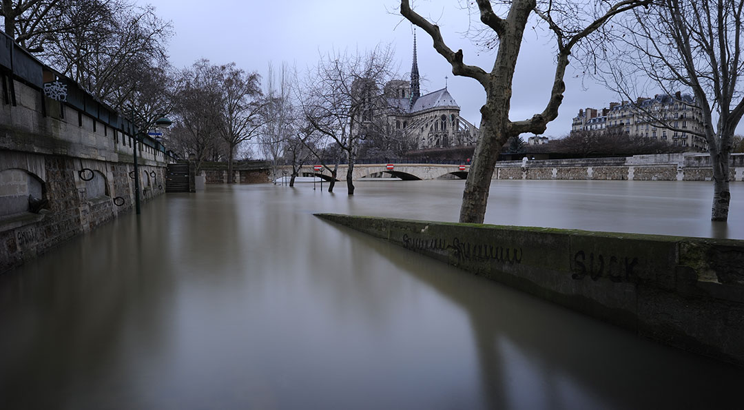 Css Template Preview