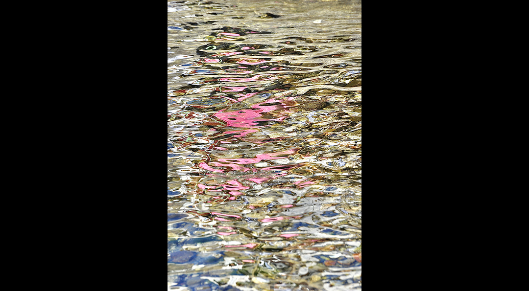 Css Template Preview