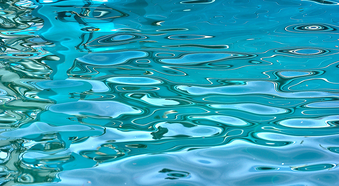 Css Template Preview