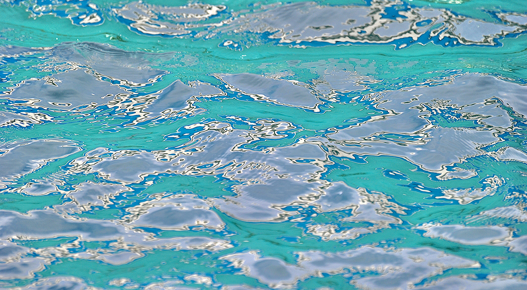 Css Template Preview